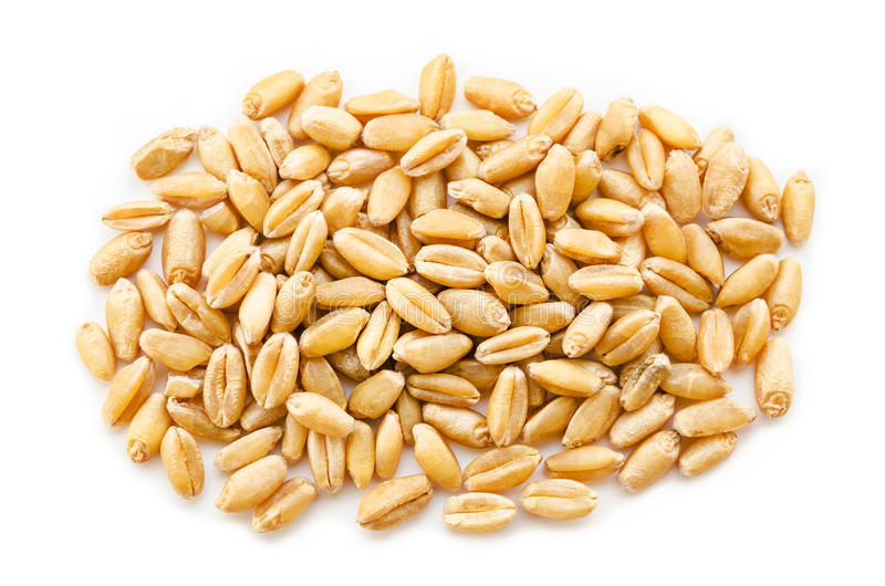 Grain de blé — Wikipédia